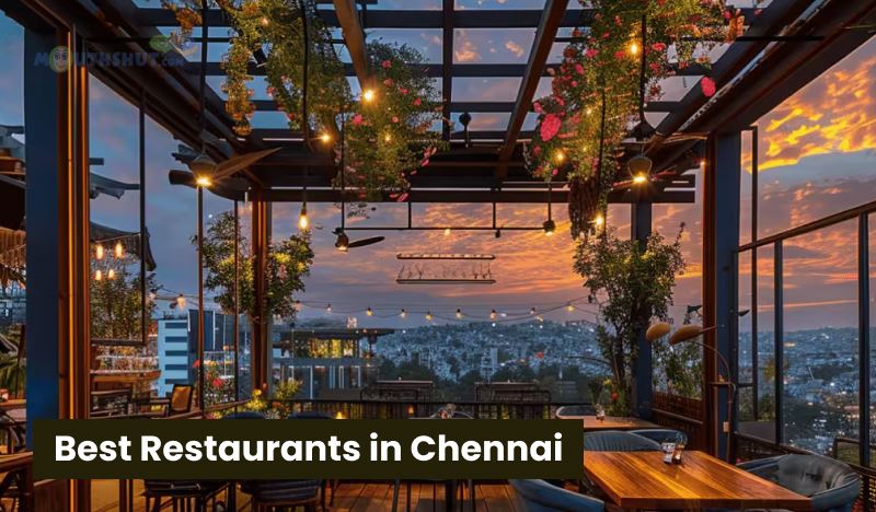 Best Restaurants in Chennai You Must Visit